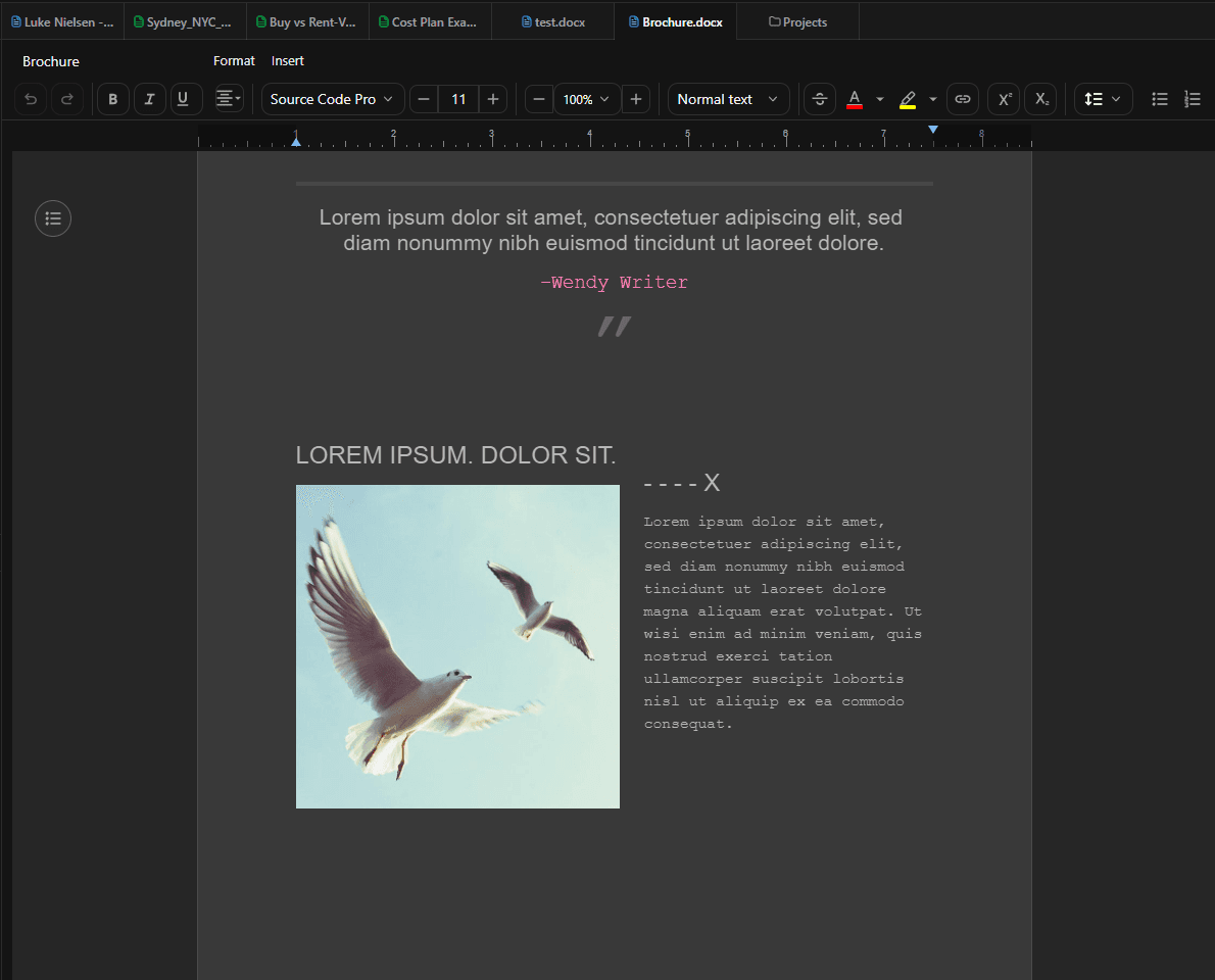 SupaDocs Word document editor with a brochure draft open